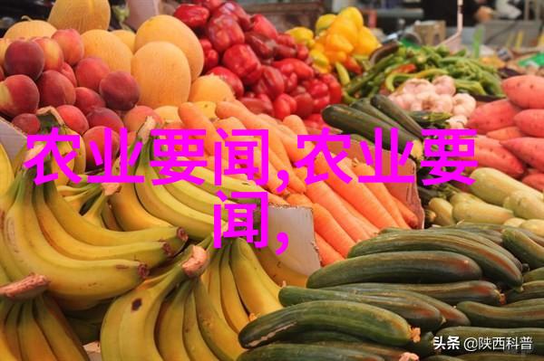 蔬菜定植后 重点浇好前三水