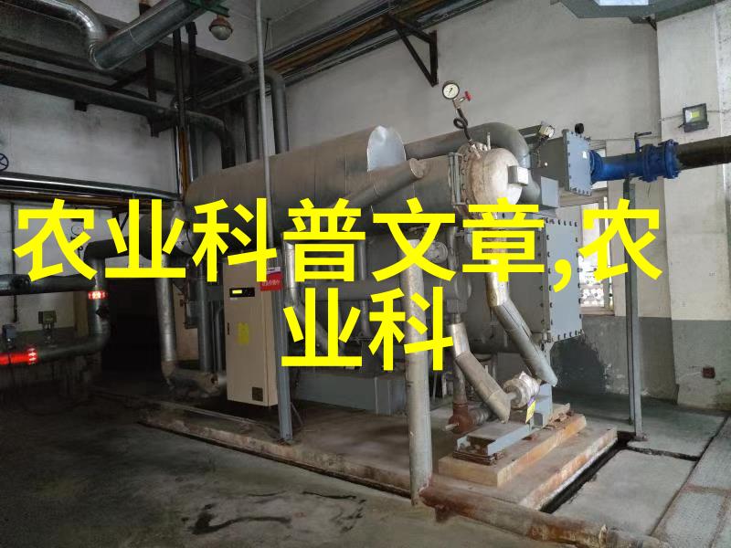 教育界的新星培养优秀教师的专业选项