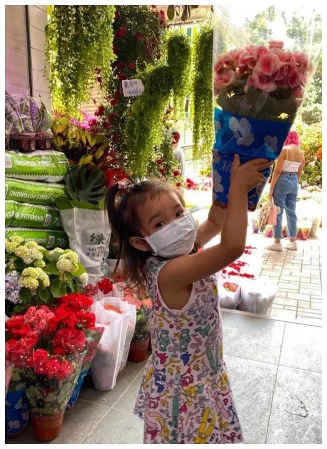 我来告诉你庭院里最适合种植什么花和树