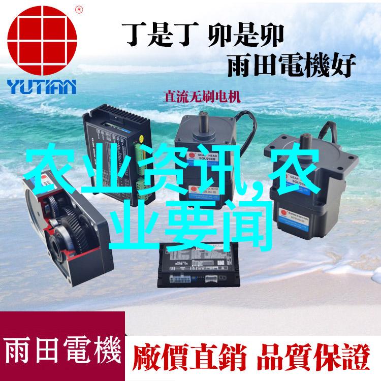 农产品滞销市场冷暖与农户忧愁