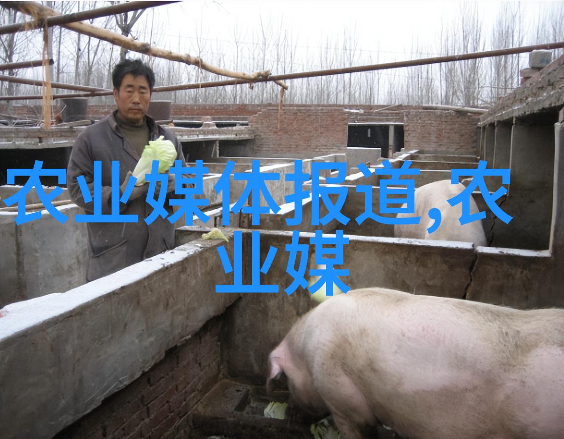 果树秋季管理避免四大误区