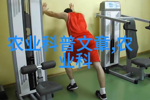 凤凰男的狂上之旅燃烧重生翱翔巅峰