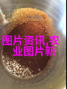 畜牧实践与农村经济发展养殖培训班的学术探究