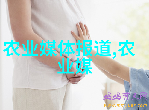 绿意盎然文竹的精彩养殖秘籍