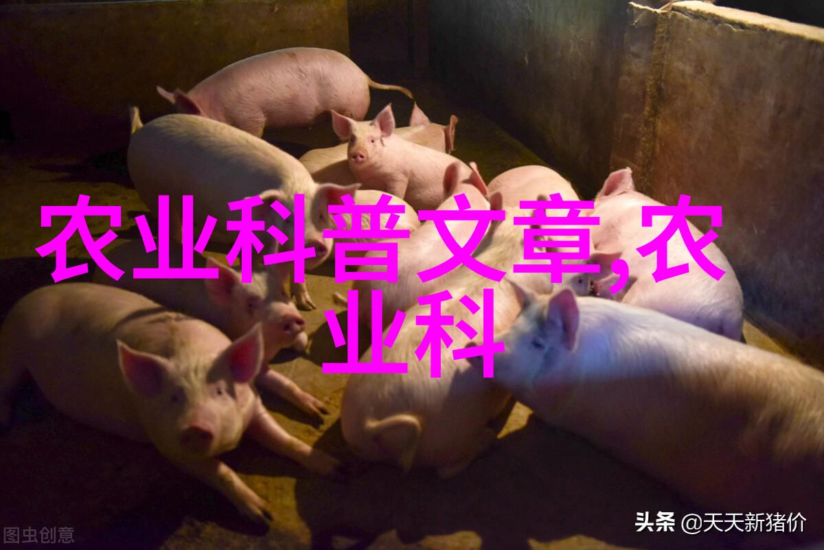 探究中国茶叶文化的源起从古代文献到现代考古的视角