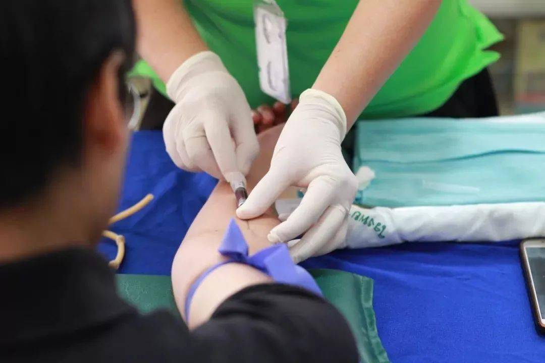 广东中药材种植基地绿色健康的守护者