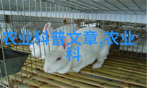 蜗牛的秘密探索白玉蜗牛背后的故事