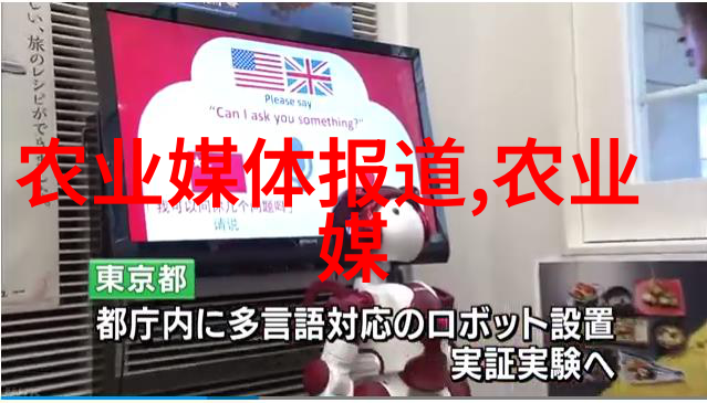 绿茶与红茶两大类别的品质对比与赏析
