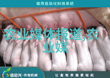 现代农业技术革新与生产力提升