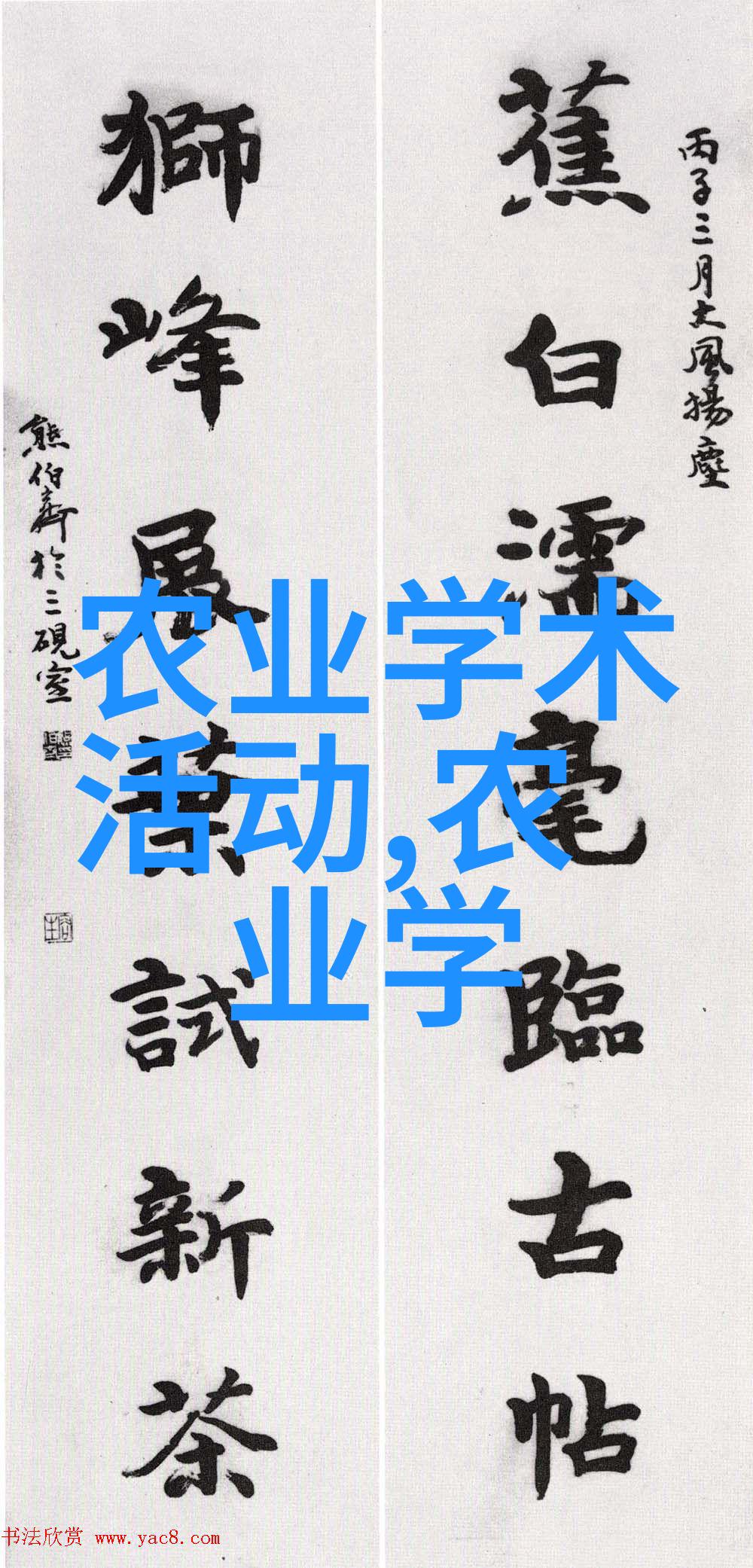 沙漠中的绿茵100种水果种子小盆栽的逆袭故事