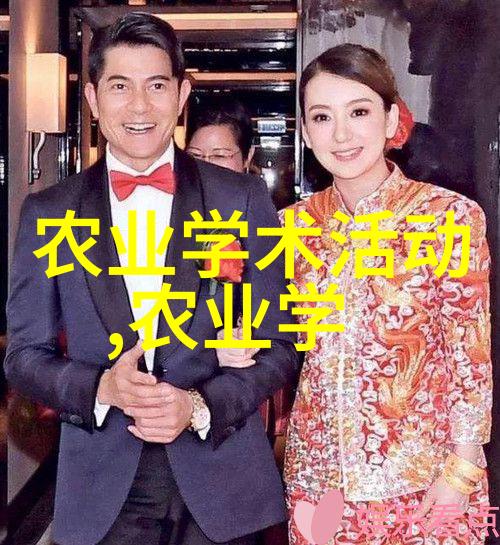 竹鼠养殖技术视频我是怎么学到手的高效养竹鼠秘籍