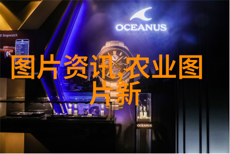 翠绿间的孤影庭院苗木品种中的反差之美
