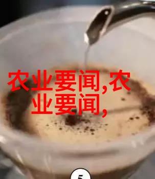 五角枫树苗价格优质园艺产品