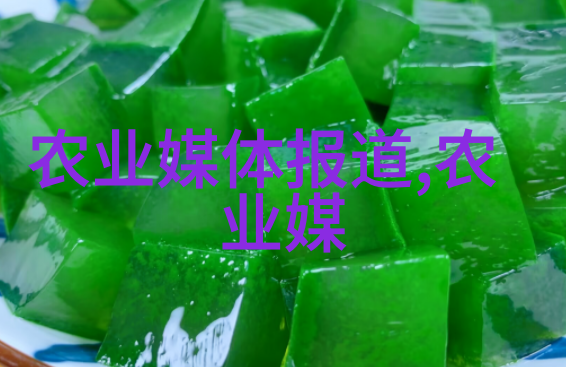 蔬菜绘卷超市里的绿意盎然