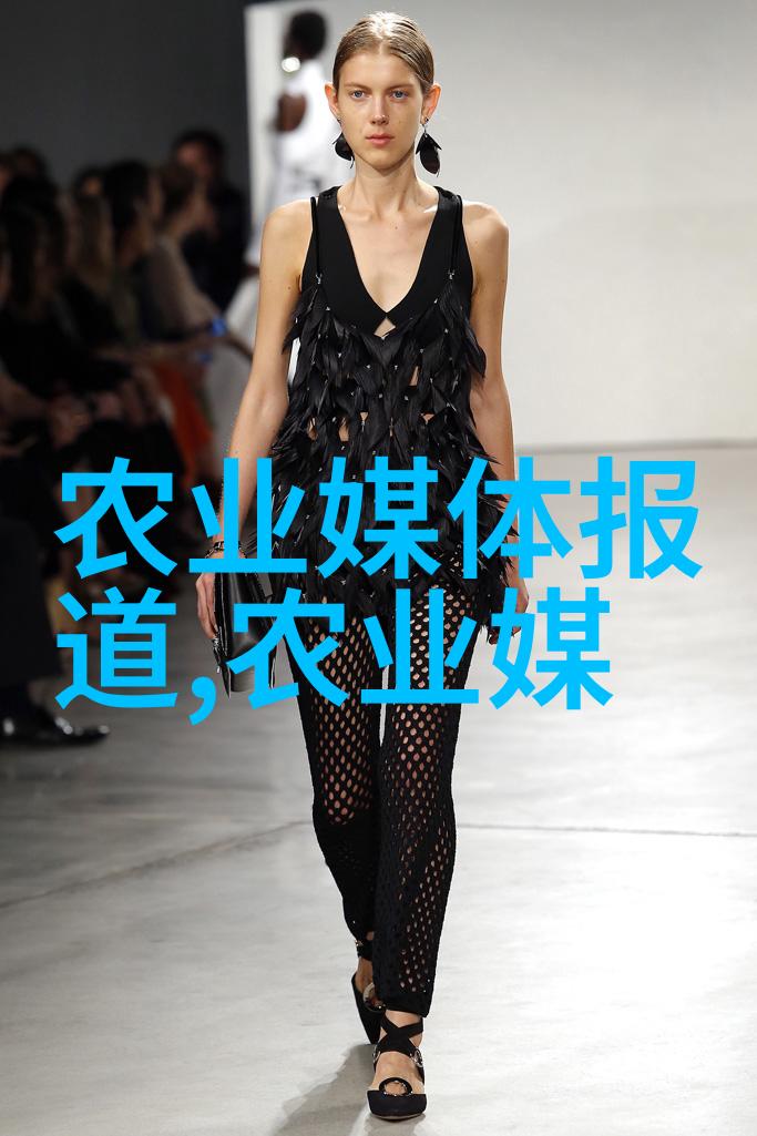 挖树机高效的森林资源采集工具