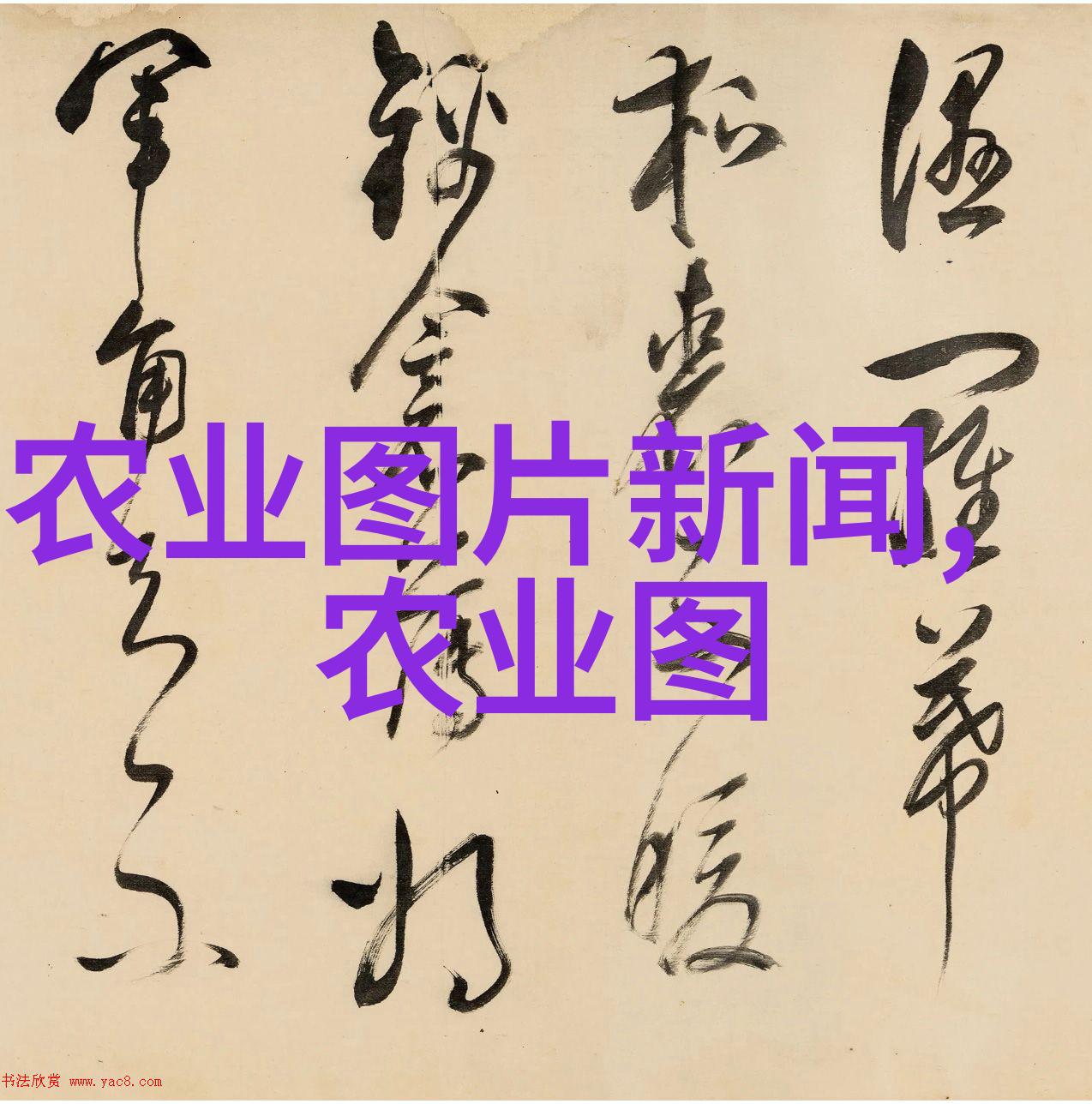 茶叶知识聊一聊我知道的那些事儿