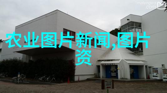 中国农业信息网推动现代农业发展的智慧平台