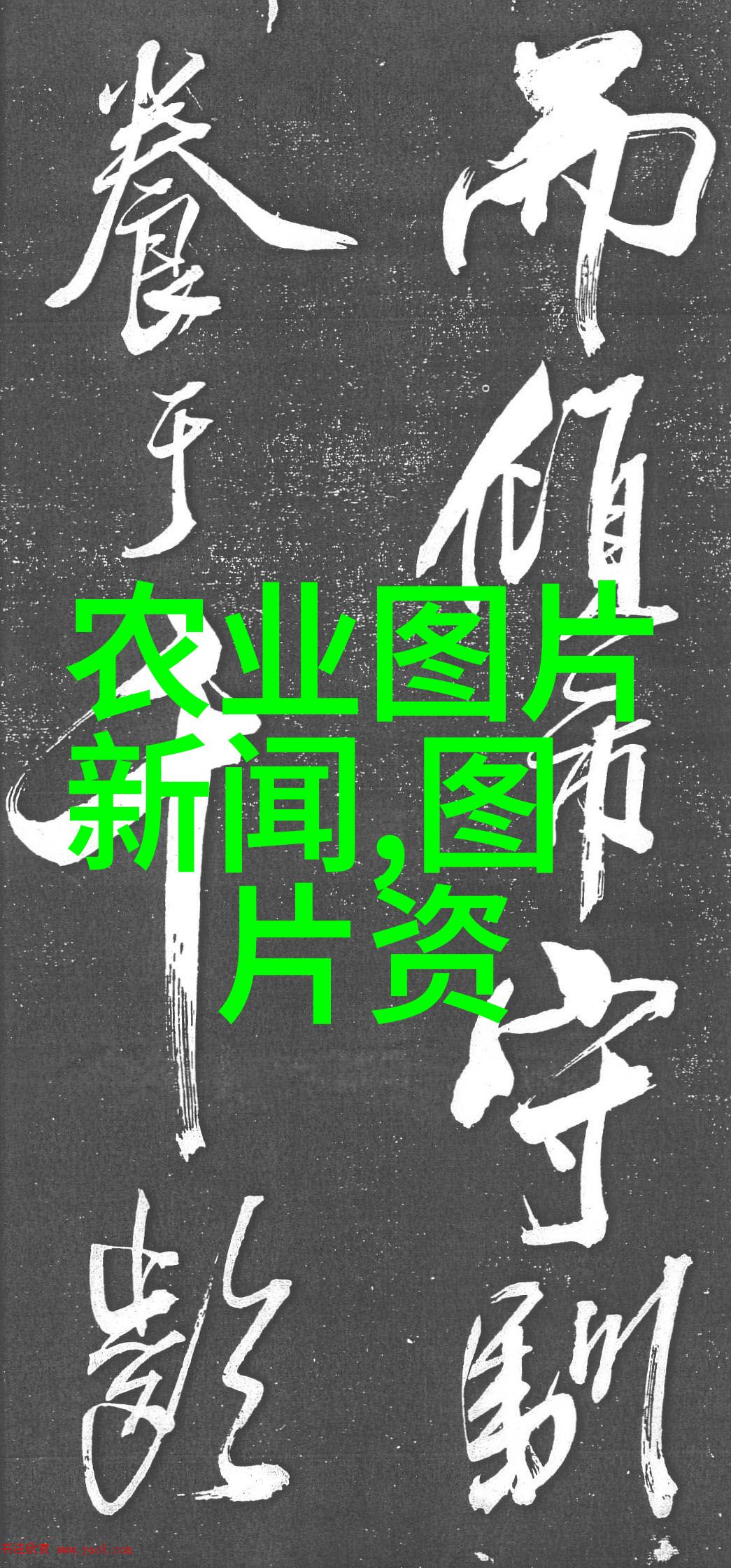 如何看待10公分紫叶稠李的价格影响其销售量