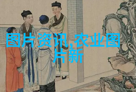 蔬菜之光新世纪大棚下的绿意盎然