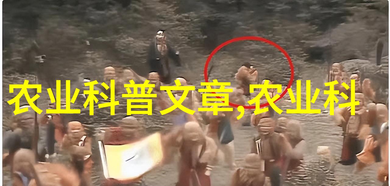 如何选择合适的肉驴品种进行养殖