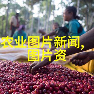 绿意盎然的水上花园无土水培蔬菜种植技巧解析