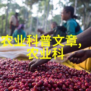 掌握如何从种子生长出口味丰富的新鲜水果