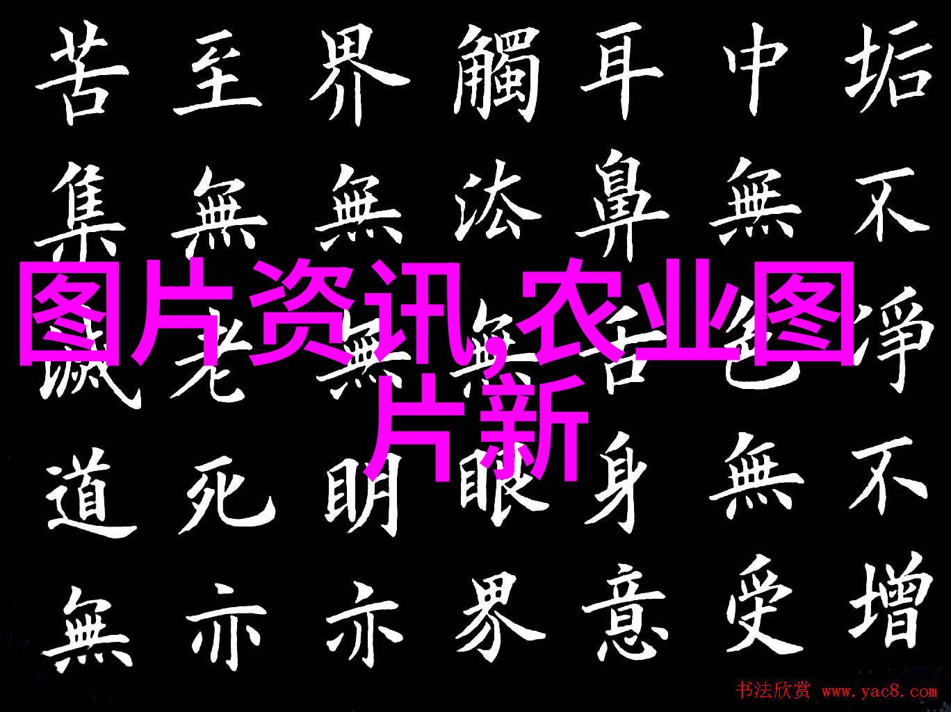 在传统文化中喝茶还有哪些不可思议的功效和意义