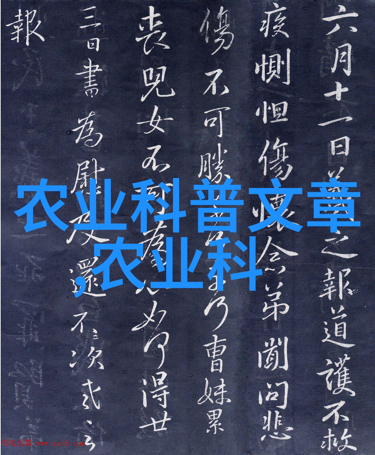 大门两旁不能有两棵树住宅安全与美观的平衡考量