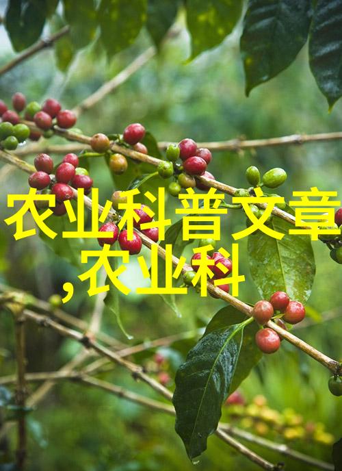 新政策引领未来2023年养殖业改革与发展