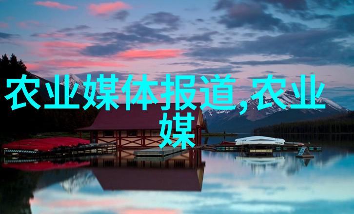 家庭乐趣的传递家用玉米棒输送机链条的魅力与实用性