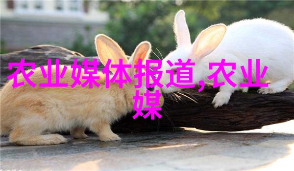 师尊在下穿越之谜与宿命