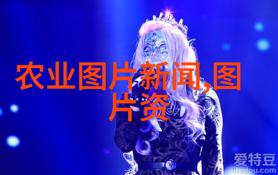 花海盛宴精彩花卉种植图片指南