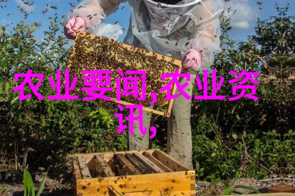 药材市场的黄金赚钱秘籍哪些珍贵草本能让你一夜暴富