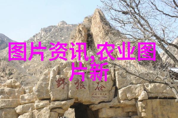 茶道文化-品味生活探索茶道的内涵与艺术