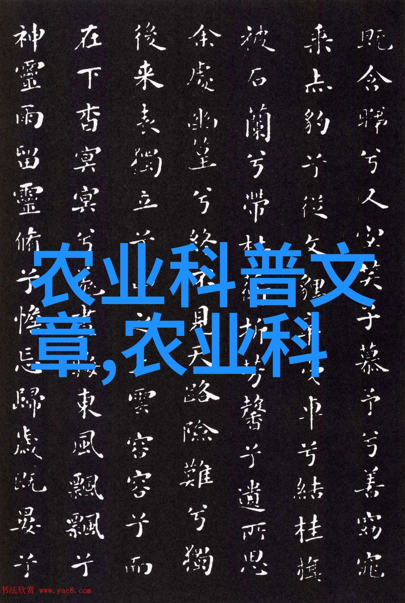 茶叶文化与历史中国茶文化的悠久传承