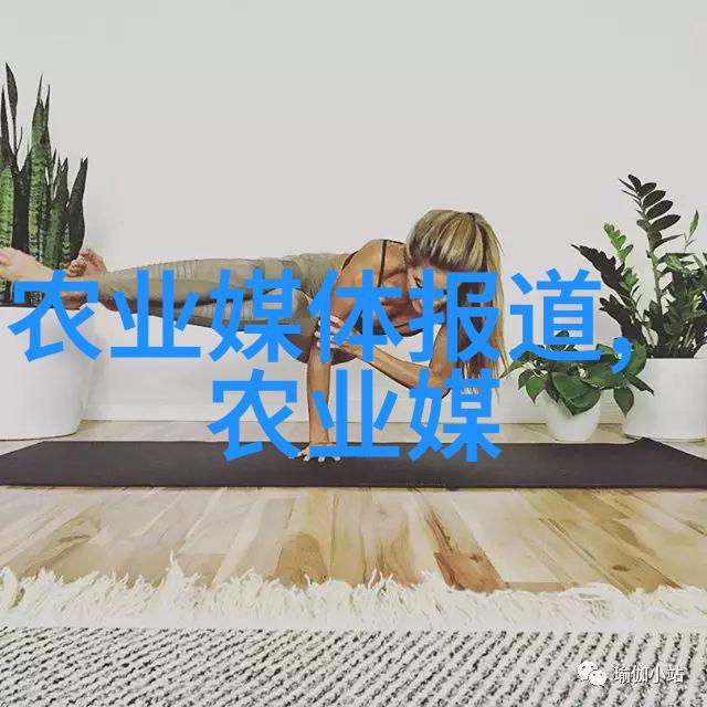 中药材交易大舞台古今交汇的现代奇观