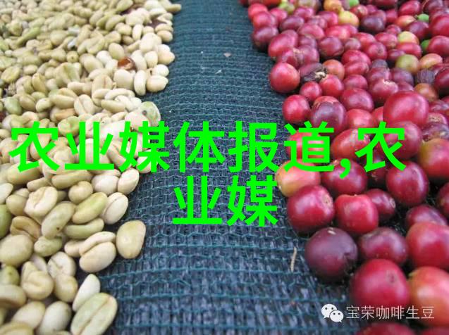 什么是农村政策我理解的三农问题从政策到实践