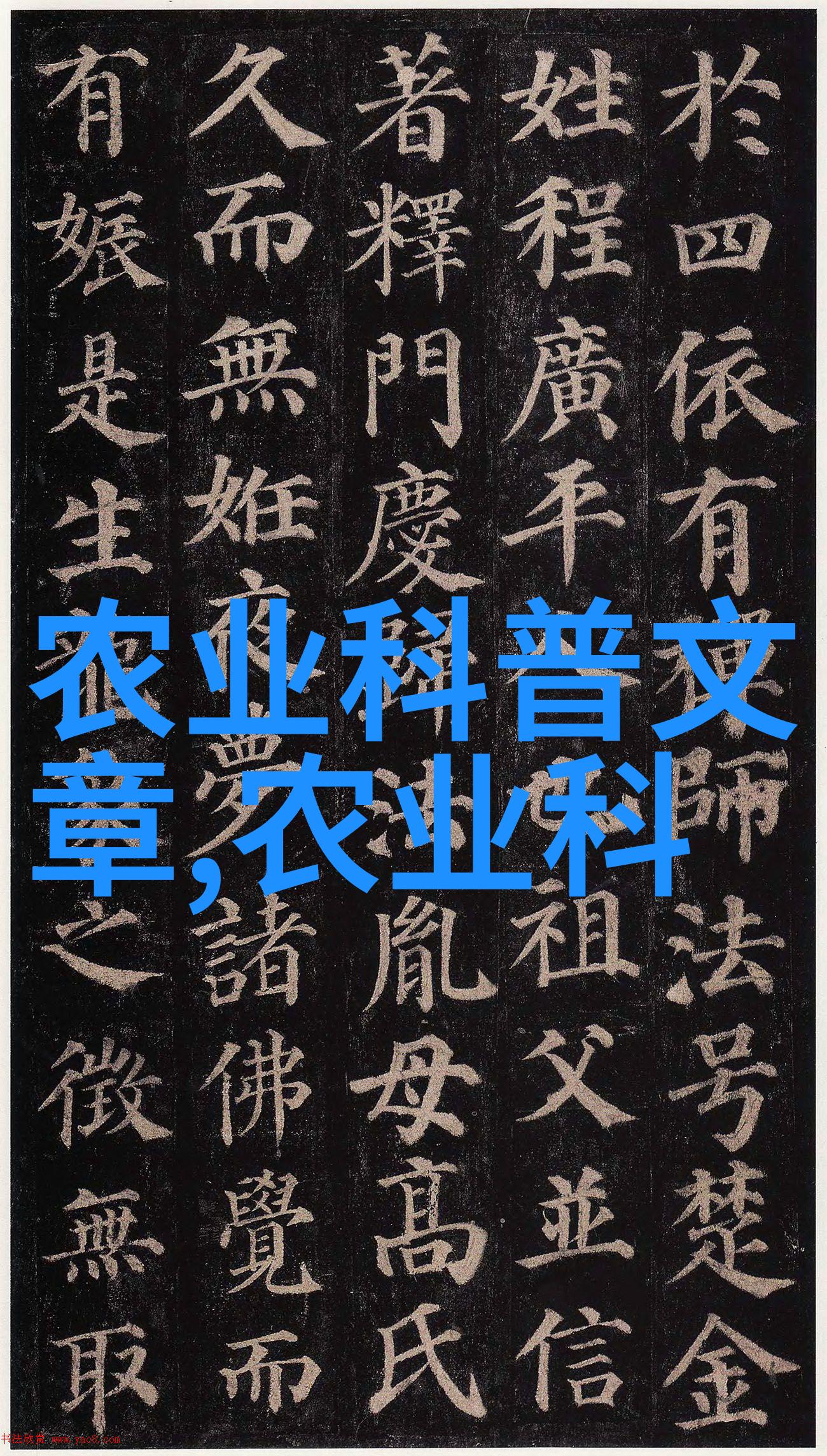 九一传媒制片厂传媒免费 - 影视盛宴九一制片厂免费带来的媒体盛典