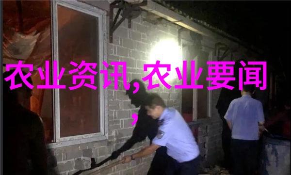 寻找终身学习的力量增强45-50年龄段求职者的专业技能训练计划制定方法论研究