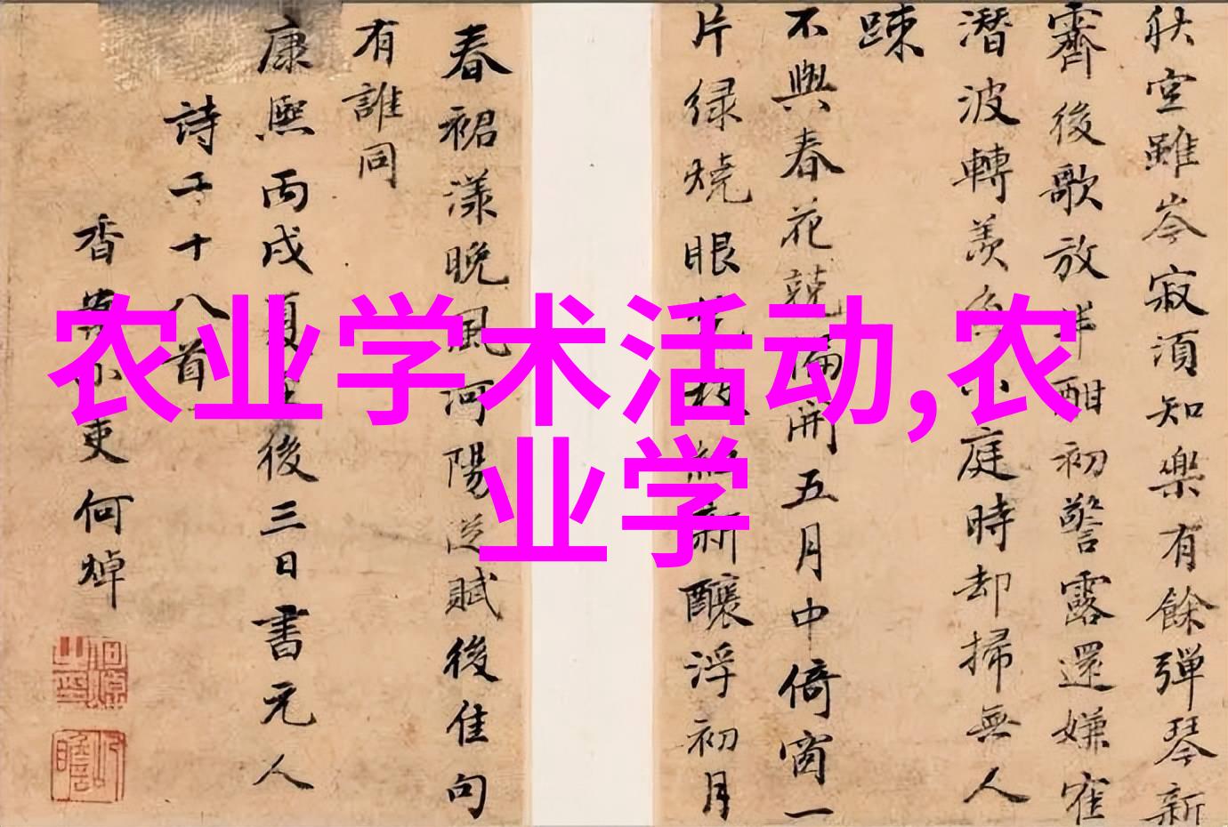 如何评估大型旋耕起垄施肥一体机的投资回报率