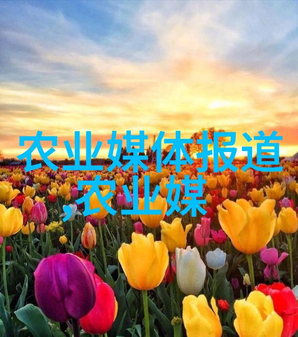 室内蔬菜之选十大耐阴强悍种类