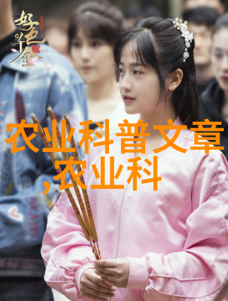 穿越清朝的皇贵妃从低贱到尊贵的奇遇