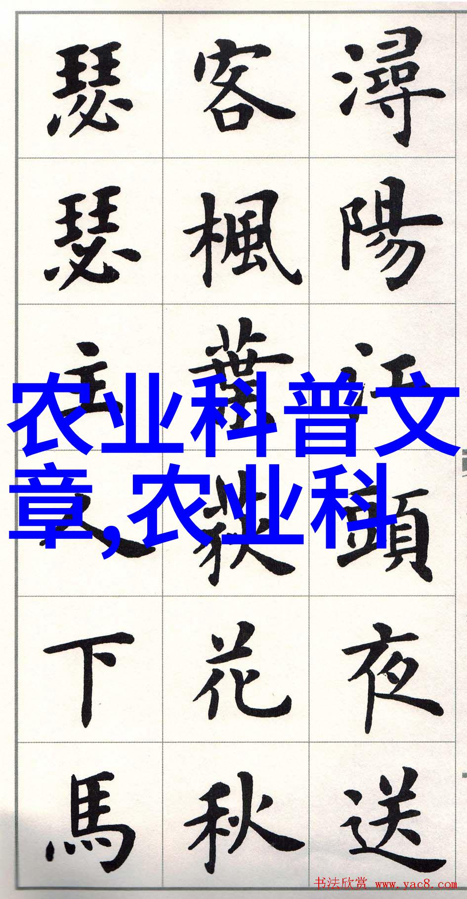 蜂蜜的味道与技巧新手养蜂人的指南