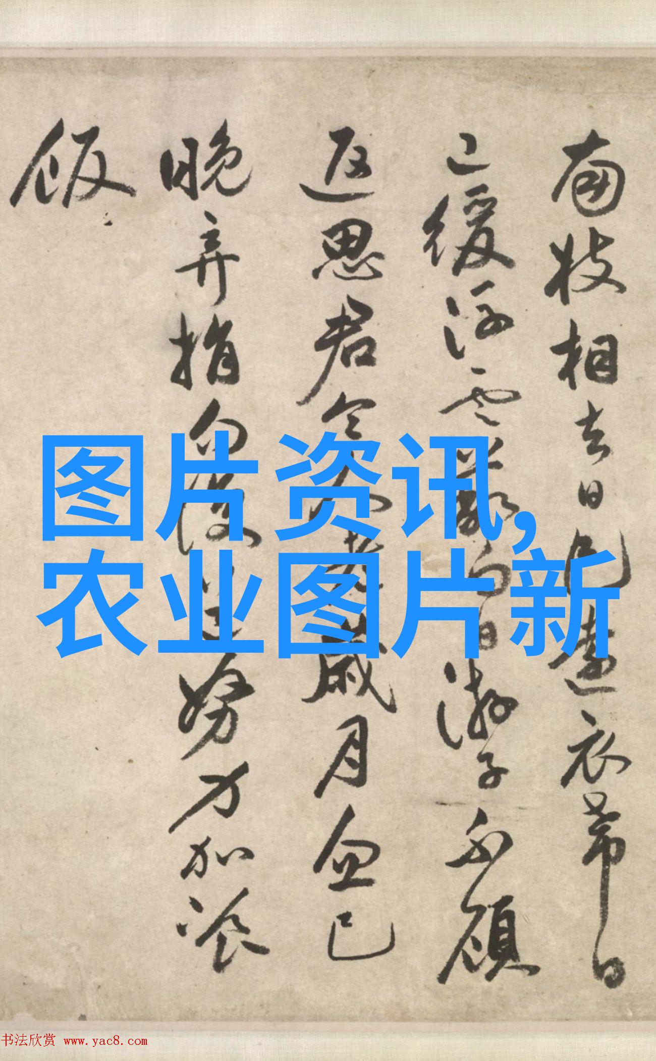 花盆种菜-小巧空间里的丰收秘诀如何在花盆中成功种植蔬菜