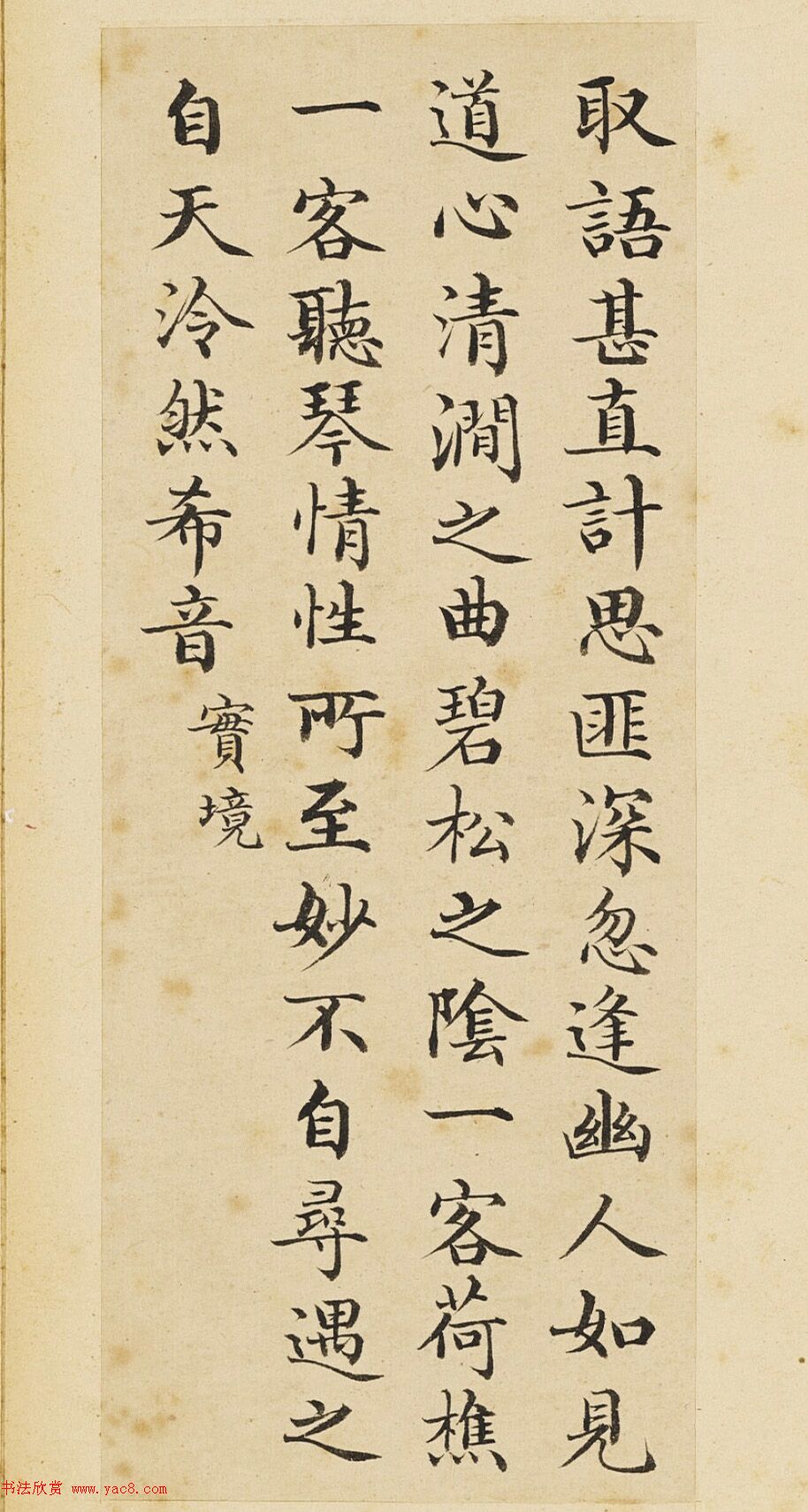 麻婆豆腐美食视频麻婆豆腐的魅力与诱惑