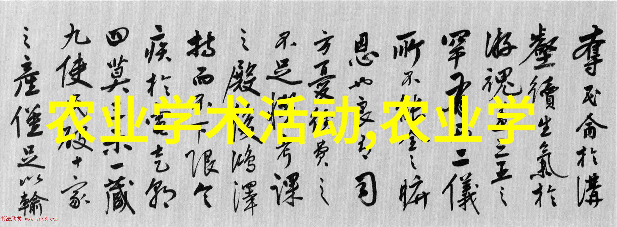 茶艺探秘揭秘茶叶大全图片的艺术与文化