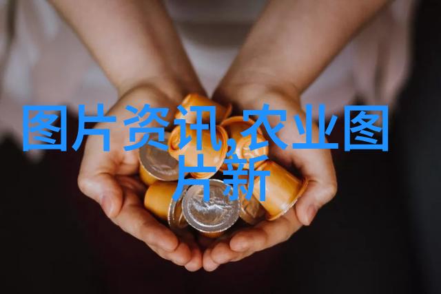 高速公路上的植物之战车载多肉对决