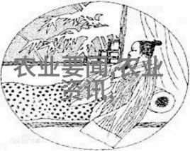 让空气清新室内植物盆景对健康的积极影响