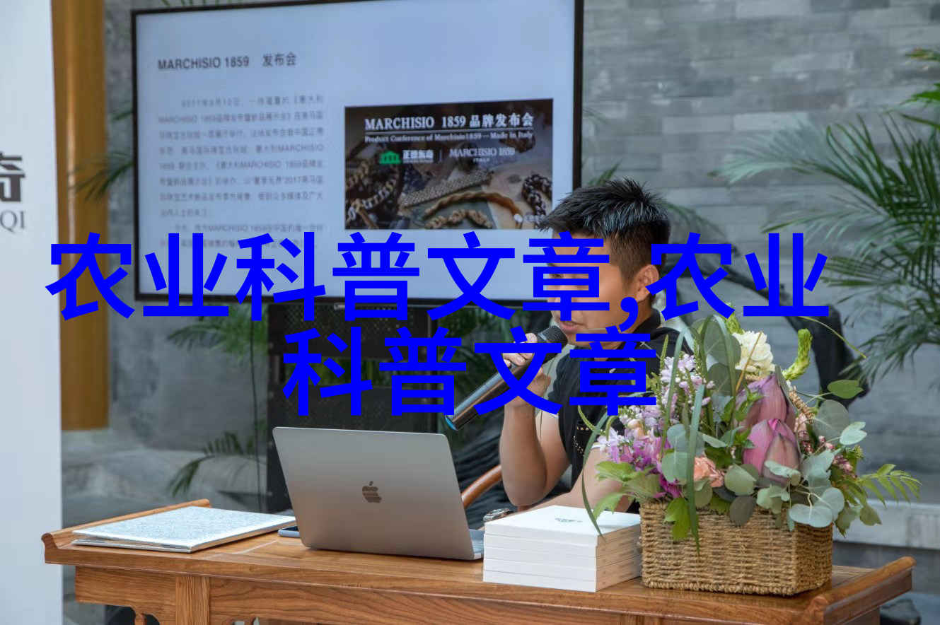 图2：仙人掌在阳光下展现其典型形态