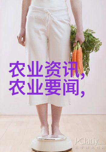 头条今日头条-热搜爆红AI技术革新如何重塑新闻消费体验